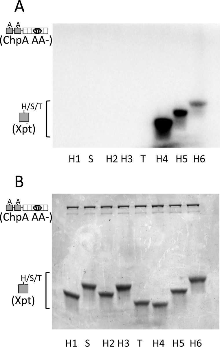 FIGURE 3.