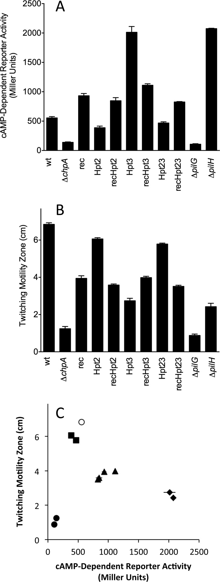 FIGURE 9.