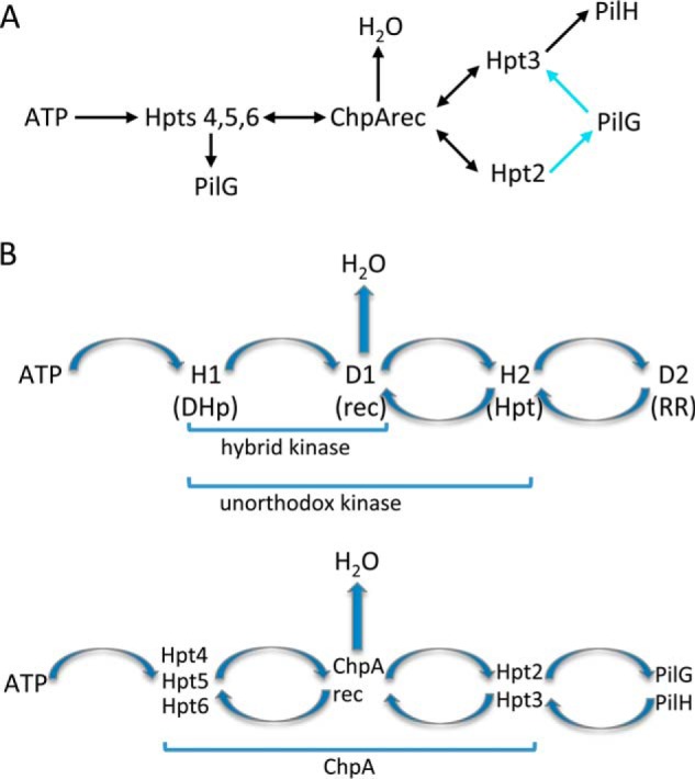 FIGURE 10.