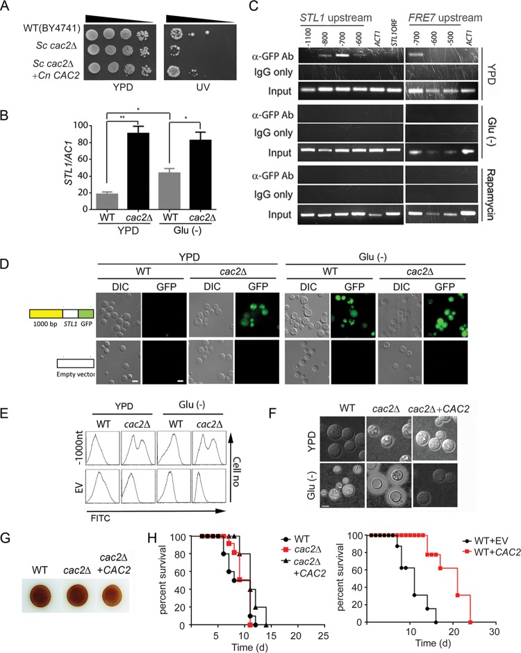 FIG 3