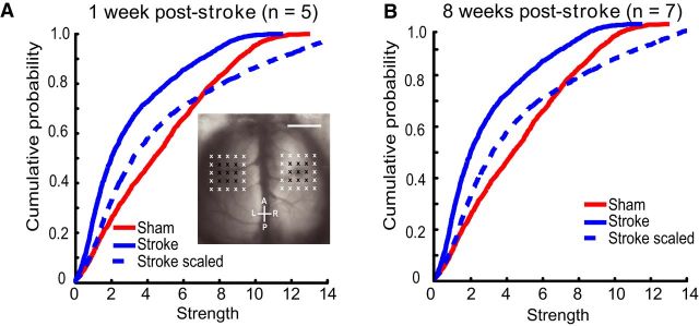 Figure 7.