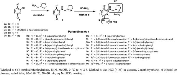 Scheme 1