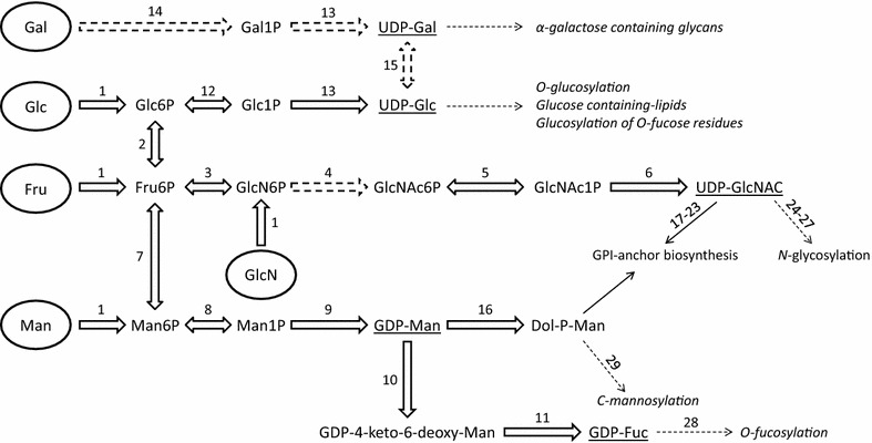 Fig. 1