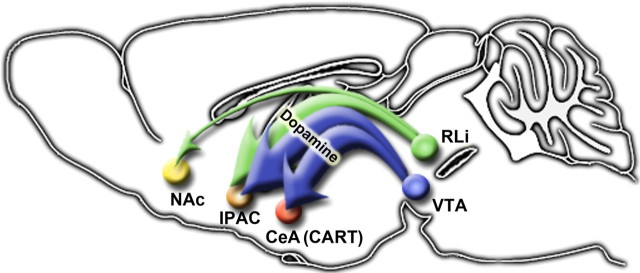 Figure 10.