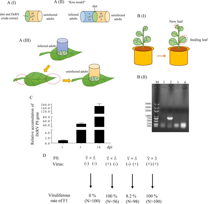 FIG 2