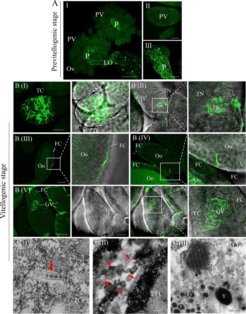 FIG 4