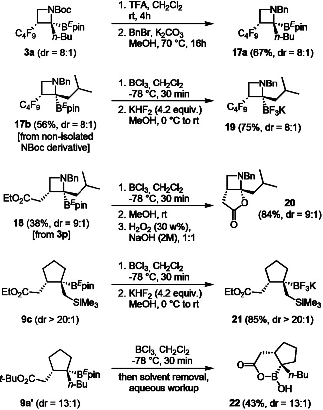 Fig. 8