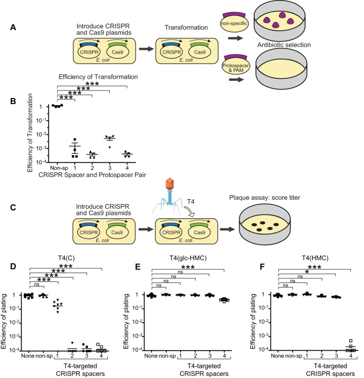 FIG 4 