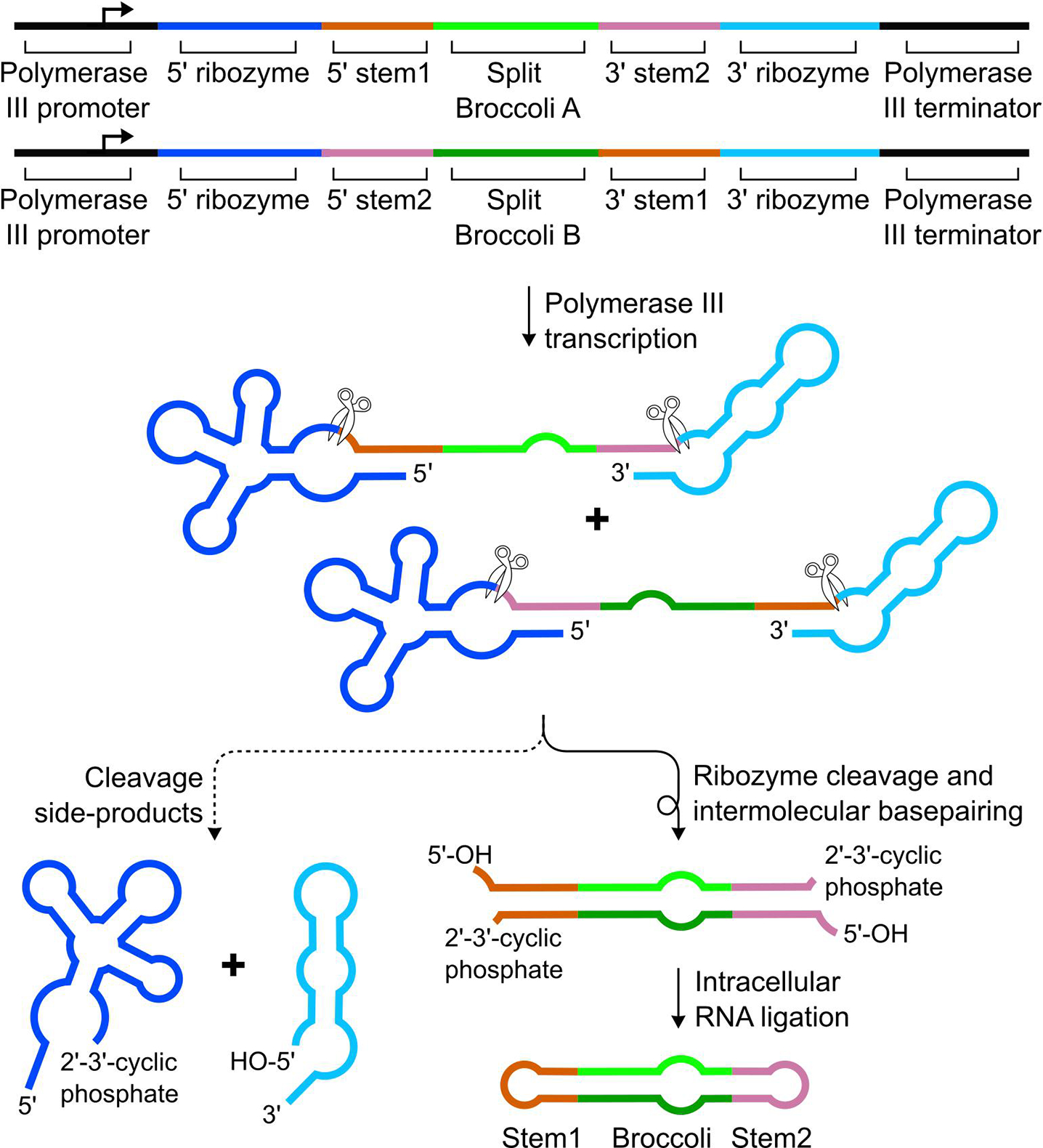 Figure 3: