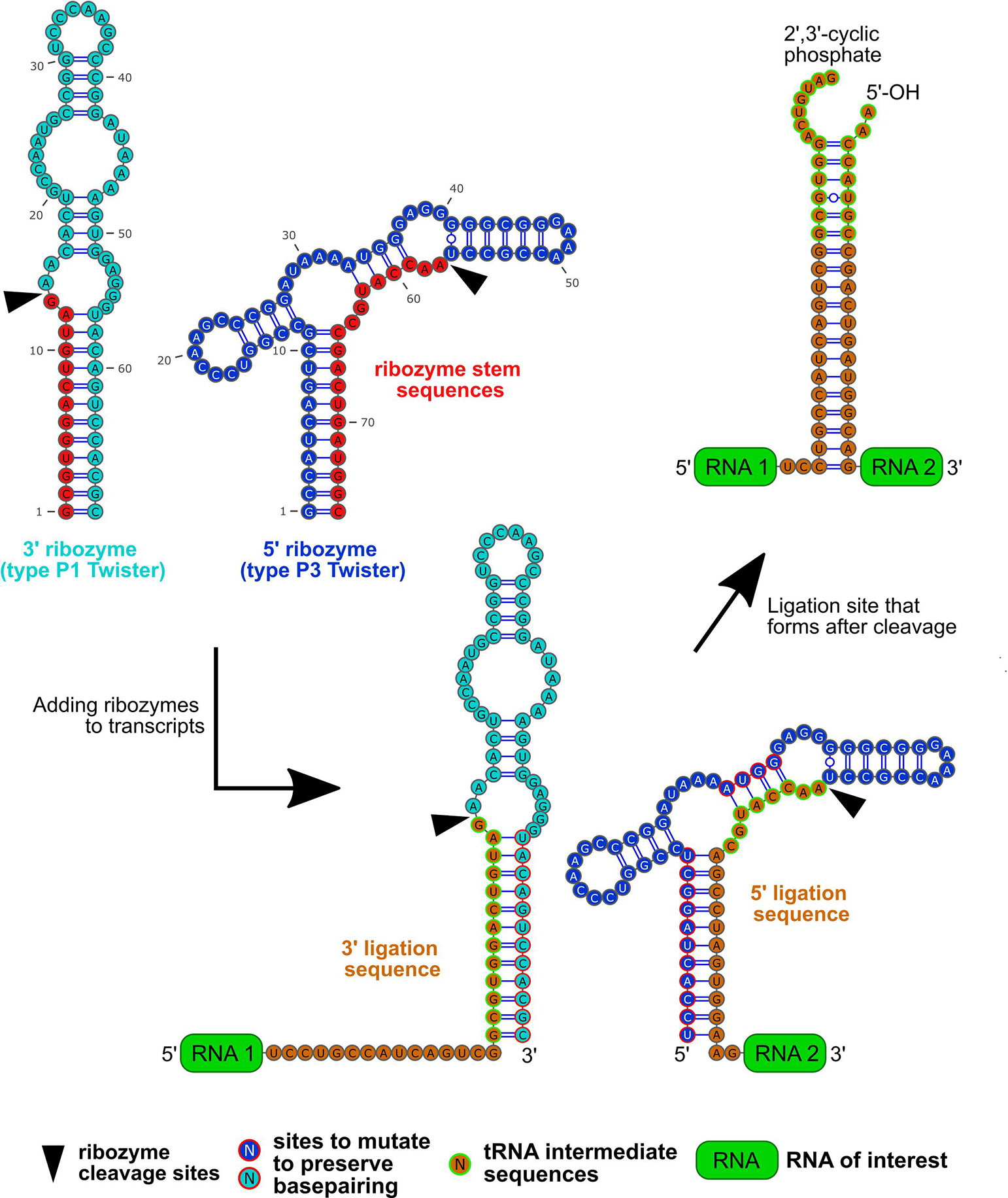 Figure 2: