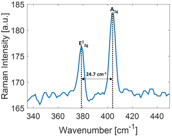 FIGURE 3