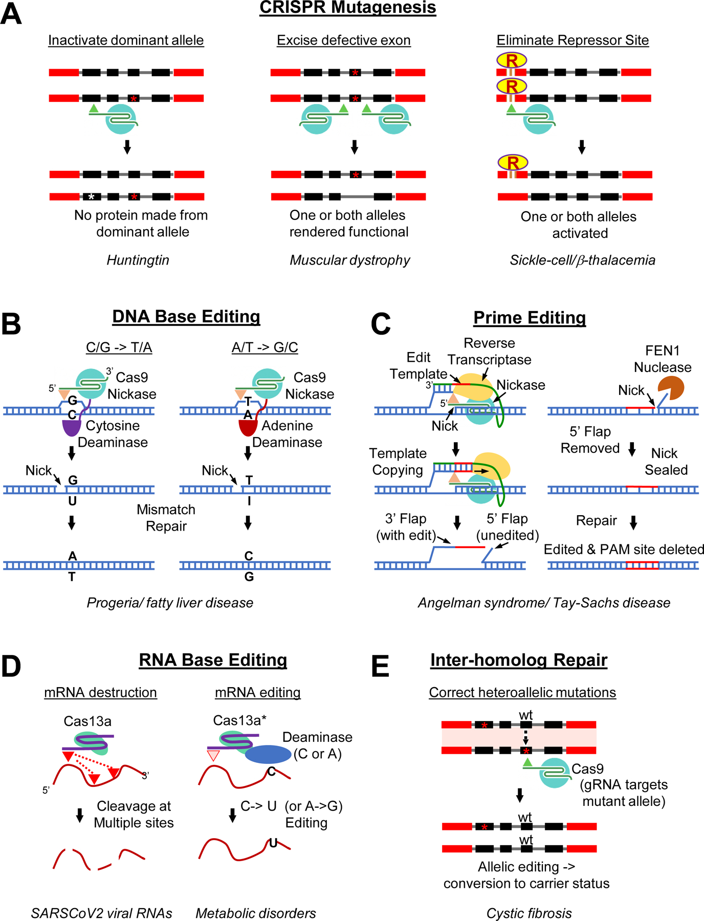 Figure 4: