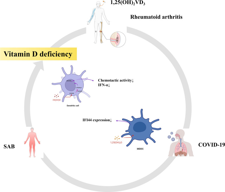 Figure 14