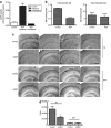 <b>Figure 4</b>