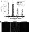 <b>Figure 2</b>