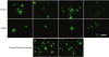 <b>Figure 5</b>