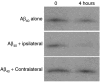 <b>Figure 3</b>