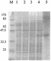 FIG. 4.