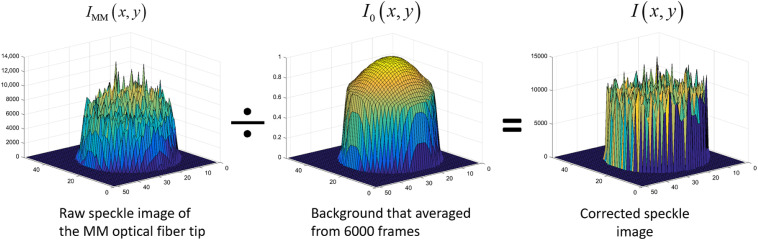 Fig. 2