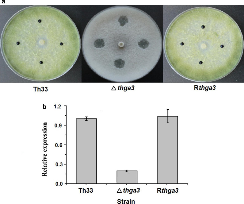 Fig. 4