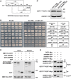 Figure EV3