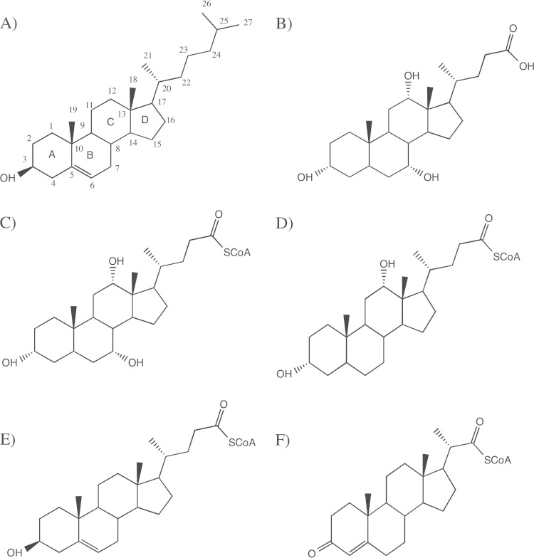 FIG 1