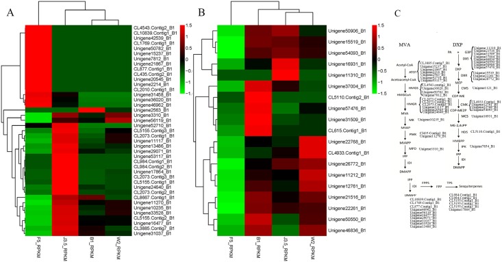 Fig 6