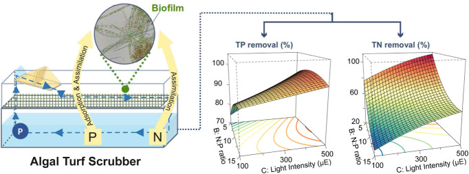 graphic file with name FBIOE_fbioe-2022-962719_wc_abs.jpg
