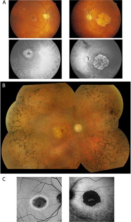 Figure 3.