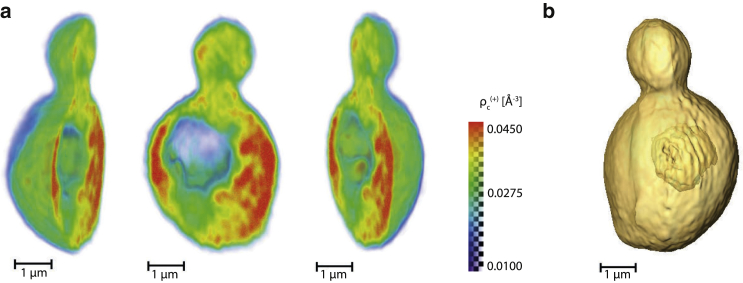 Figure 5