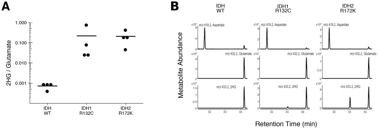 Figure 3—figure supplement 1.