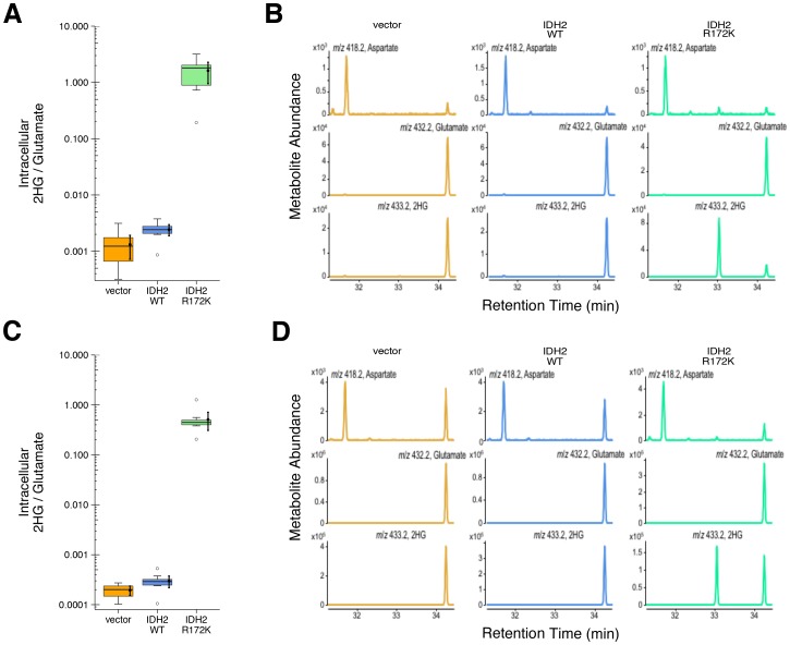 Figure 2—figure supplement 1.