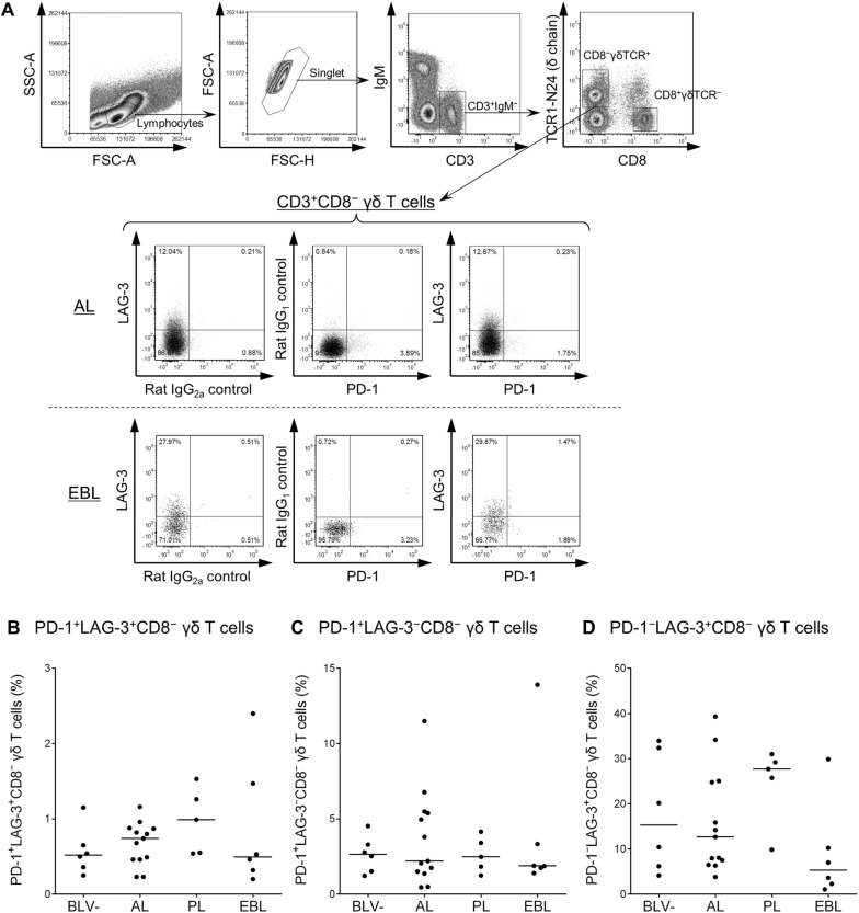 Figure 3