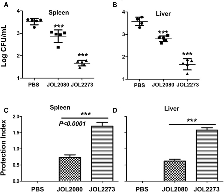 Figure 3