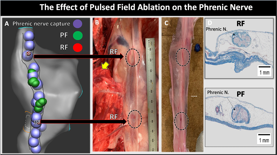 Figure 6: