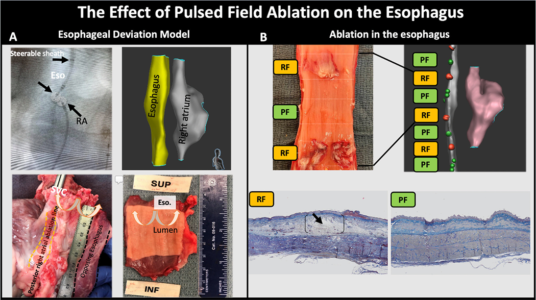 Figure 5: