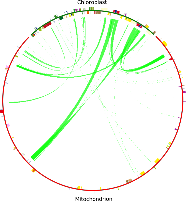 Figure 6