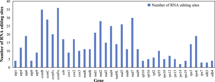 Figure 4