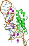 FIGURE 13