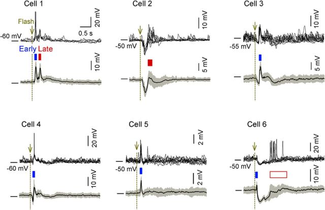 Figure 6.