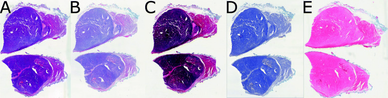 Fig. 2