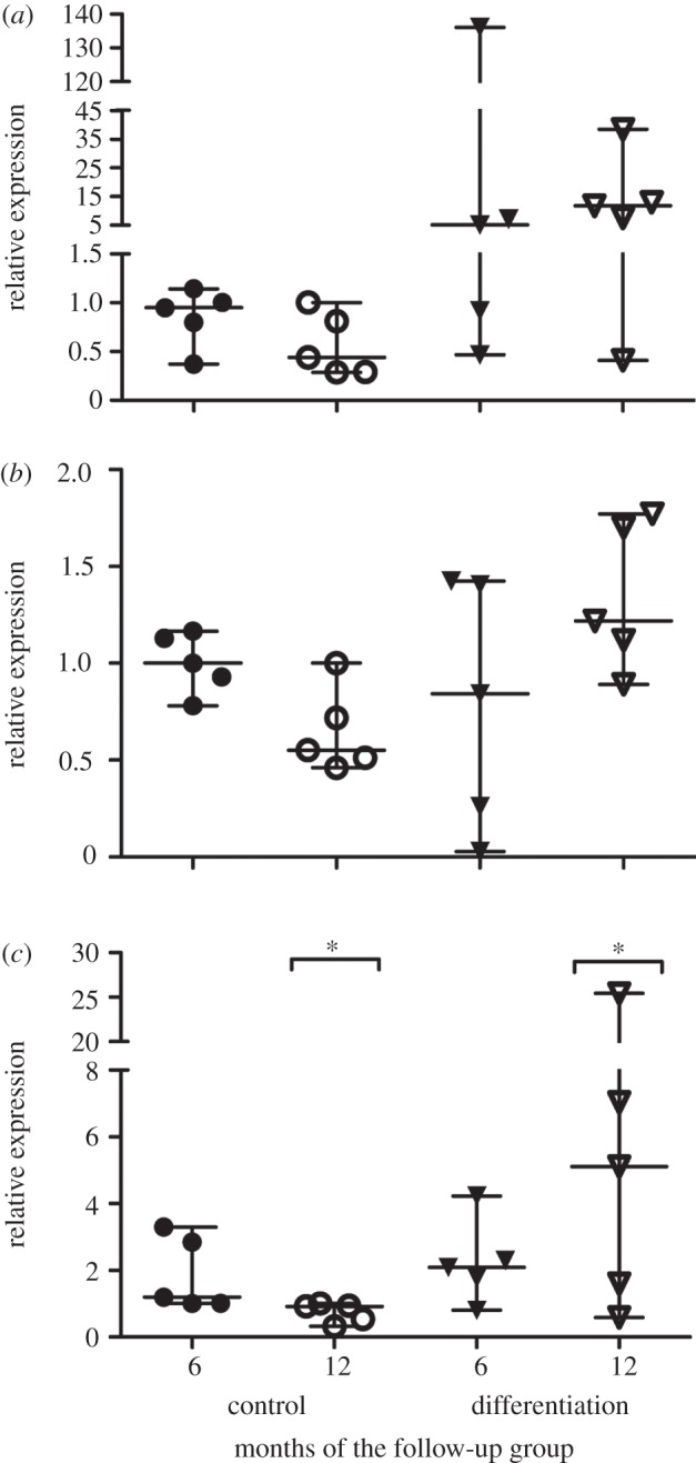 Figure 2.