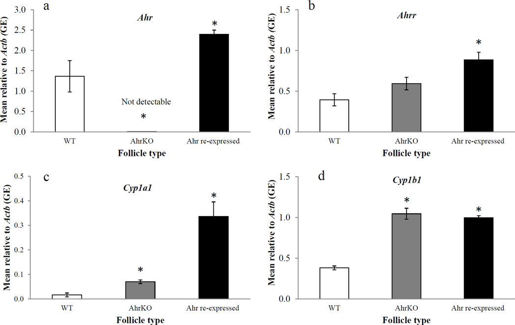 Figure 5