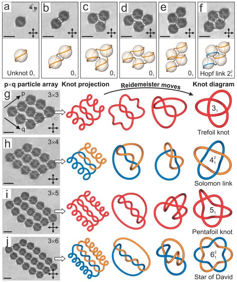 Figure 14