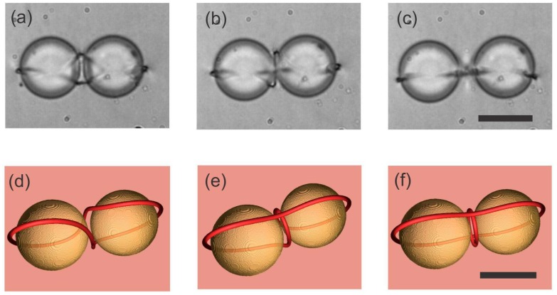 Figure 13