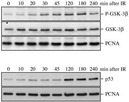 FIG. 8.