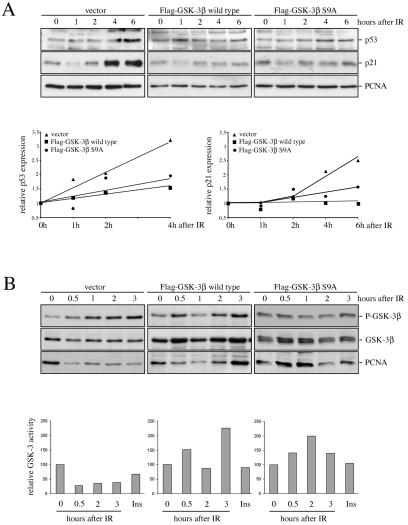 FIG. 9.