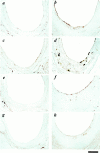 Figure 9.
