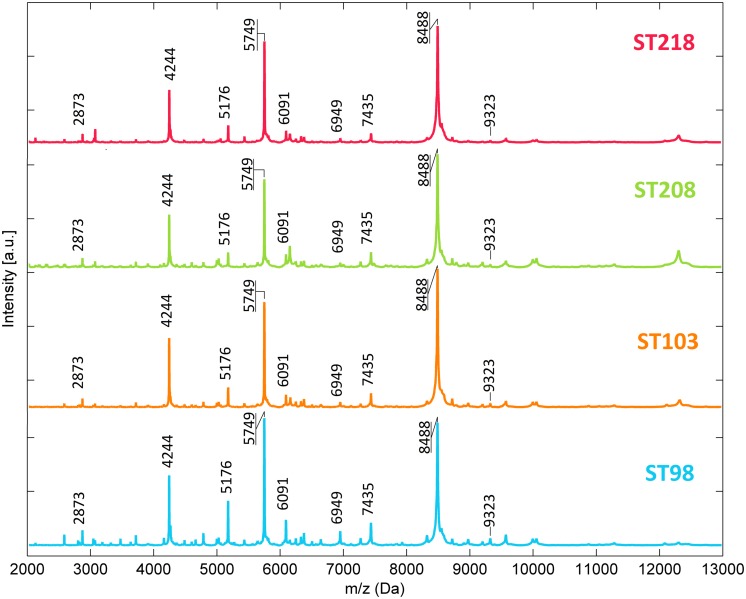 FIGURE 1