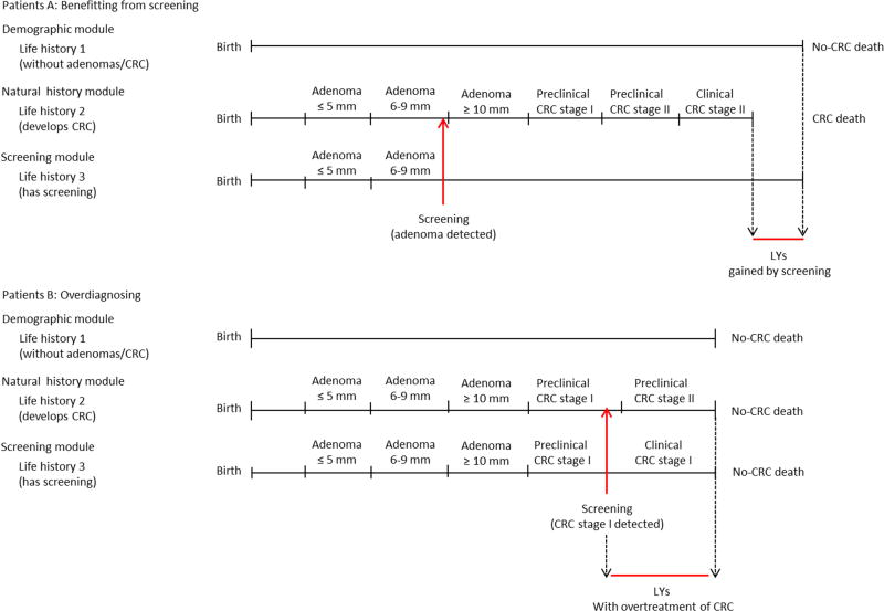 Appendix Figure 6